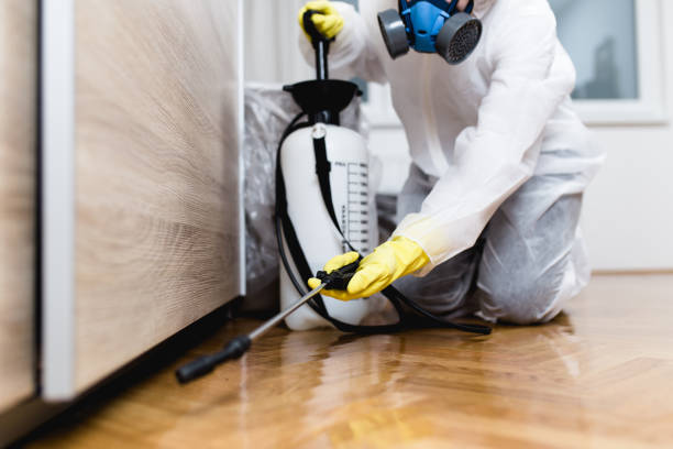 Best Pest Prevention Services  in Wyndham, VA