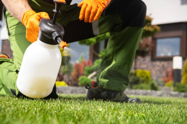 Best Wasp Removal Services  in Wyndham, VA