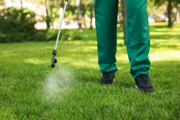 Best Wildlife Control Services  in Wyndham, VA
