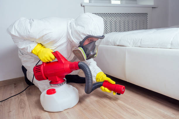 Best Rat Extermination Near Me  in Wyndham, VA