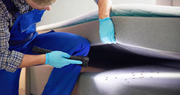 Best Residential Pest Control  in Wyndham, VA