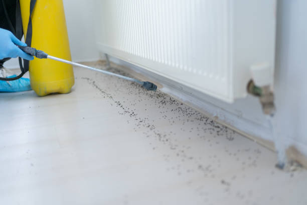 Pest Prevention Services in Wyndham, VA