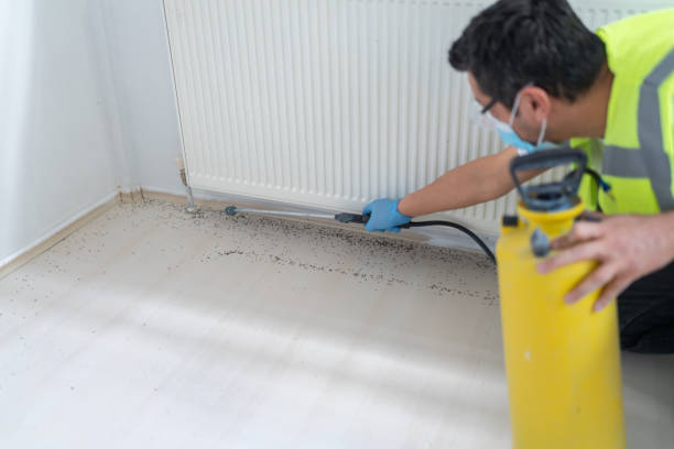 Best Local Pest Control Services  in Wyndham, VA