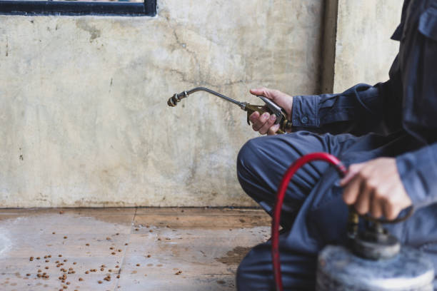 Best Commercial Pest Control Services  in Wyndham, VA